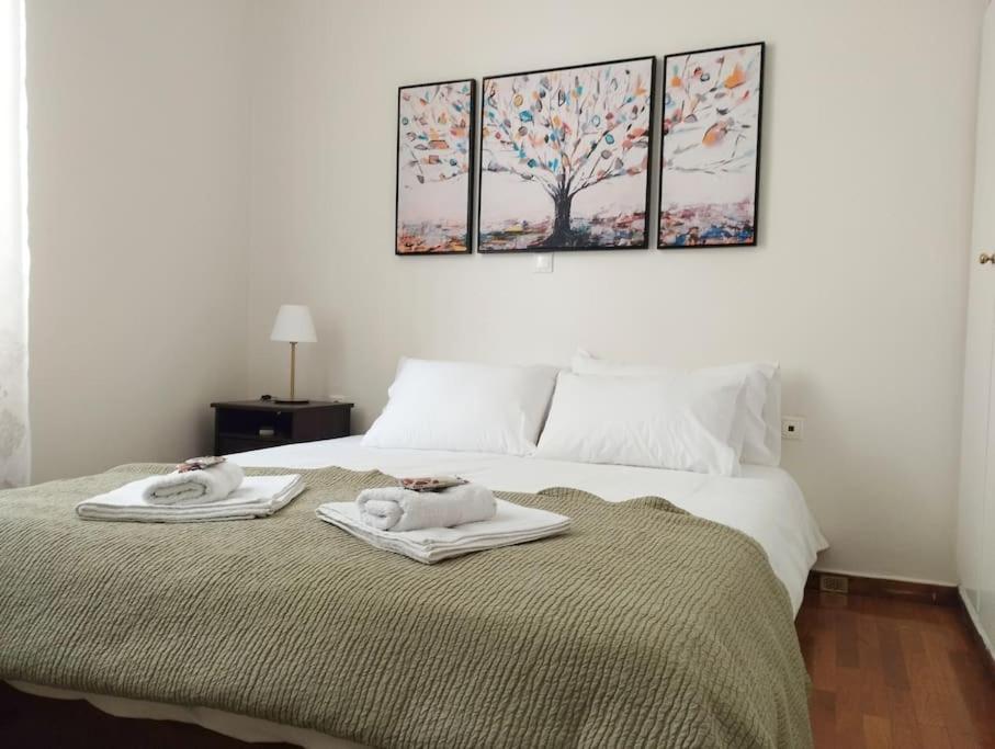 Calliope'S Neoclassical Home In The Heart Of Plaka Atenas Exterior foto